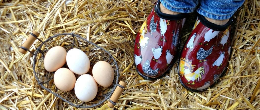 image:imageSloggers Original Waterproof Rain and Garden Shoe for Women Outdoor SlipOn Garden ClogChicken Print Barn Red