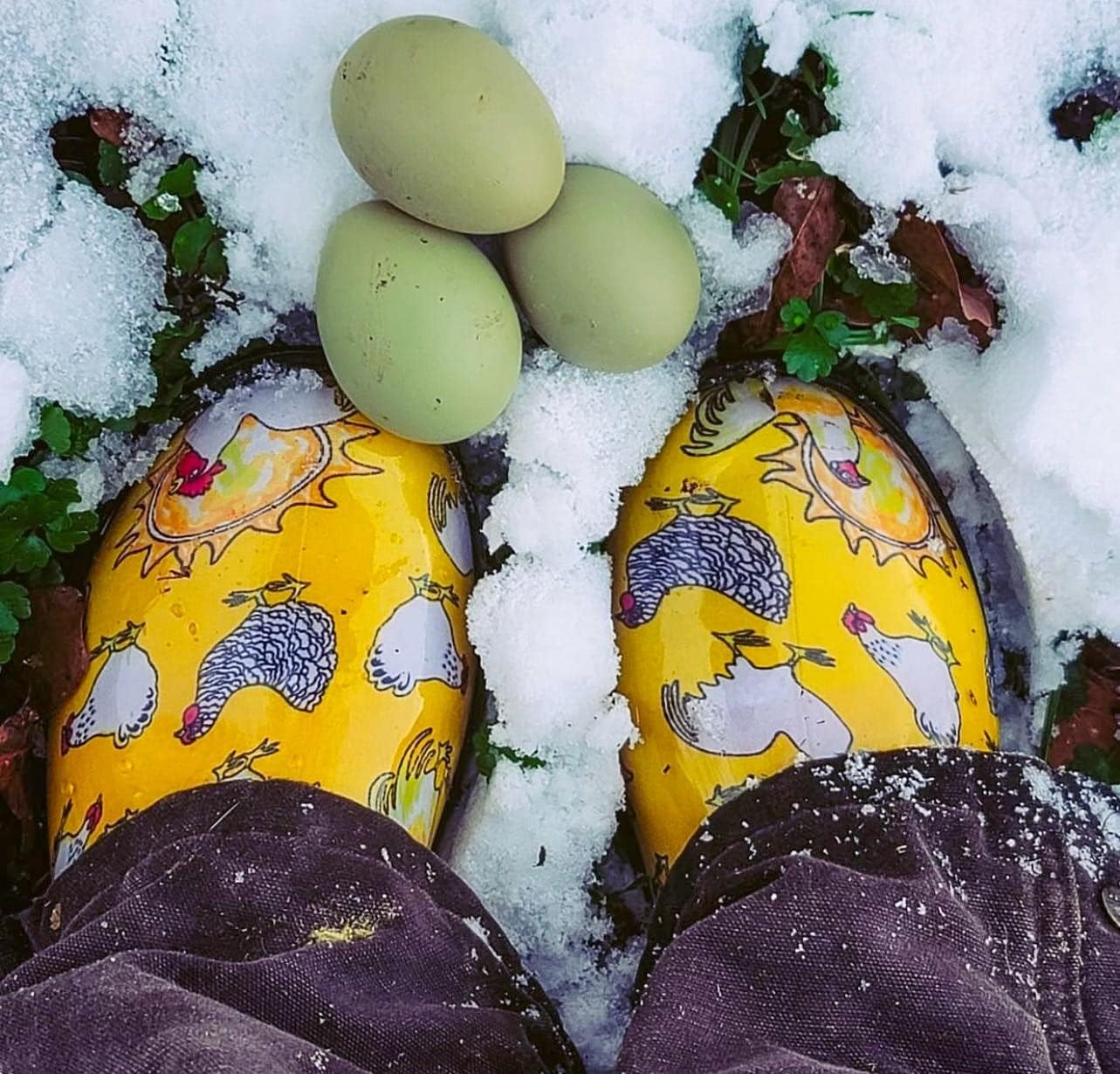 image:imageSloggers Original Waterproof Rain and Garden Shoe for Women Outdoor SlipOn Garden ClogChickens Daffodil Yellow